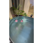 A stock tank pool installed in perth regional under patio on decking for a great backyard oasis